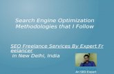 Seo Freelancer Delhi India Web Hosting and SEO Services India