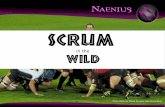 Scrum in the Wild - phpBenelux 2011