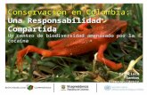 Francisco Santos Vicepresidente Conservación en Colombia: Una Responsabilidad Compartida Un centro de biodiversidad amenazado por la cocaína.
