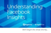 Advanced Facebook Insights 201