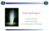 David Garman Under Secretary U.S. Department of Energy