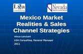 Mexico Market Realities & Sales Channel Strategies