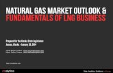 Gas Market Outlook & LNG Business Fundamentals