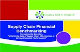 Supply Chain Insights' Financial Benchmarking Examples - 27 AUG 2013