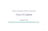 Sloan Corporate Finance Tutorial III