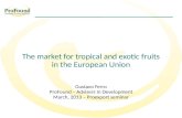 Tendencias del mercado de frutas en la union europea i
