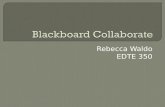 Waldo - Blackboard Collaborate Presentation