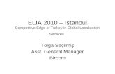 Competitive Edge of Turkey in Global Localization Services