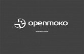 An Openmoko Overview