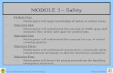Crossing Guard Training Module 3 Safety