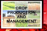 RAMIT GOEL 8th class crop production and management
