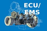Engine Management System/ ECU