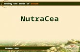 NutraCea   Company Presentation