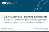 IFC - Advisory and Financial Instruments by Nebojsa Arsenijevic at GIB Summit
