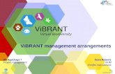 ViBRANT management arrangements