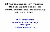 0840 Effectiveness of Farmer-Based Approaches on Production and Marketing of SRI Rice