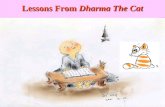 Lessons from DHARMA THE CAT