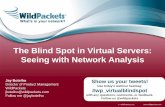 The blind spot in virtual servers - seeing with network analysis