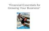 Financial Essentials for Growing Your Business