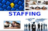 Staffing - Management