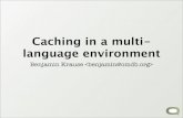 Caching in a multilanguage environment