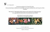Food sovereignty for food security: how protecting traditional knowledge and agro-biodiversity can be part of the solution