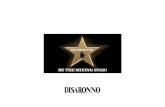 The Mixing Star. Disaronno bartender competition. Case history
