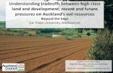 Curran_Cournane_Understanding tradeoffs between high class land and development, and future pressures on Auckland’s soil resources