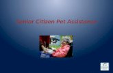 Senior citizen pet assistance pp presentation for slide share