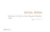Social Media in the Digital Media Mix