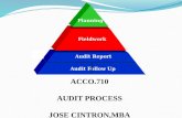 Audit Process, Audit Procedures, Audit Planning, Auditing