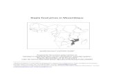186 aamp mozambique background paper (5 jan)