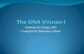 34. the dna viruses i