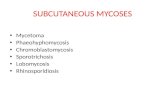 Subcutaneous mycoses