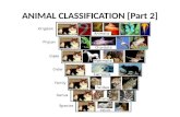 Animal classification [part 2]