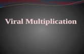Viral multiplication