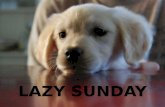 Lazy Sunday (Pp Tminimizer)