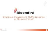 Employee Engagement: Fluffy Nonsense or Mission Critical?