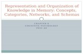 Representation and organization of knowledge in memory