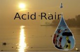 Acid Rain Up
