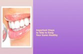 Important Steps to Take to Keep Your Gums Healthy