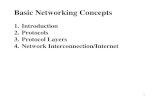 Basic Networking Network