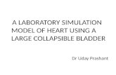 A novel Simulation model for working of heart using collapsible bladder