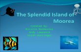 The Splendid Island Of Moorea