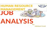 Job analysis HRM