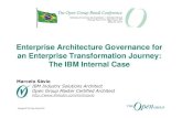 Enterprise Architecture Governance for an Enterprise Transformation Journey: The IBM Internal Case