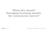 What Lies Ahead? Emerging Licensing Models For Commercial Content Oosterbaan