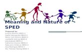 Meaning and nature of sped
