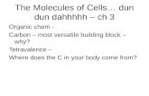 Ap bio ch 3 Functional Groups & Macromolecules