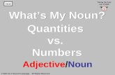 #1 t quantities vs. numbers adjective noun